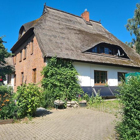Renovated Apartment In The Old Farmhouse Krusenhagen المظهر الخارجي الصورة
