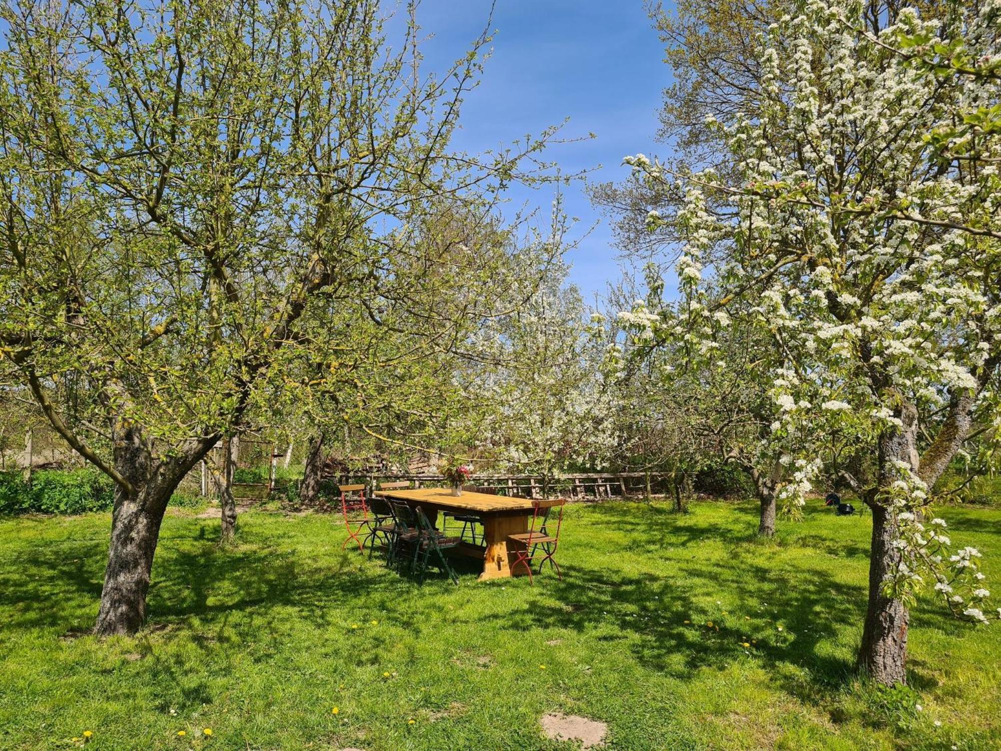 Renovated Apartment In The Old Farmhouse Krusenhagen المظهر الخارجي الصورة