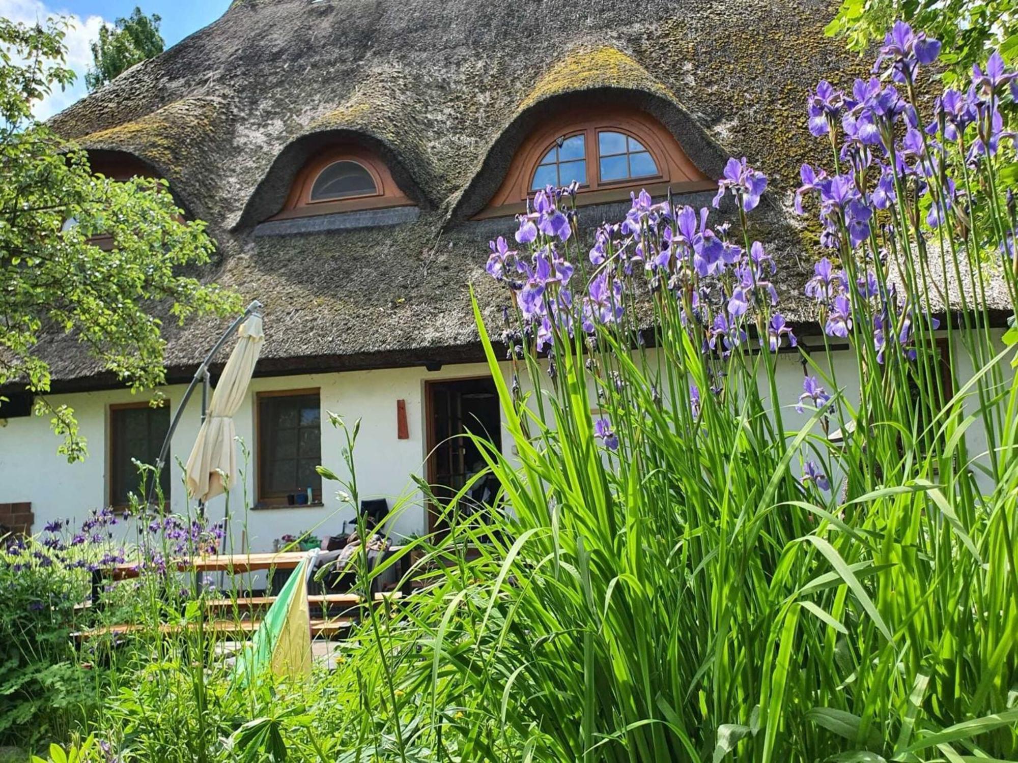 Renovated Apartment In The Old Farmhouse Krusenhagen المظهر الخارجي الصورة