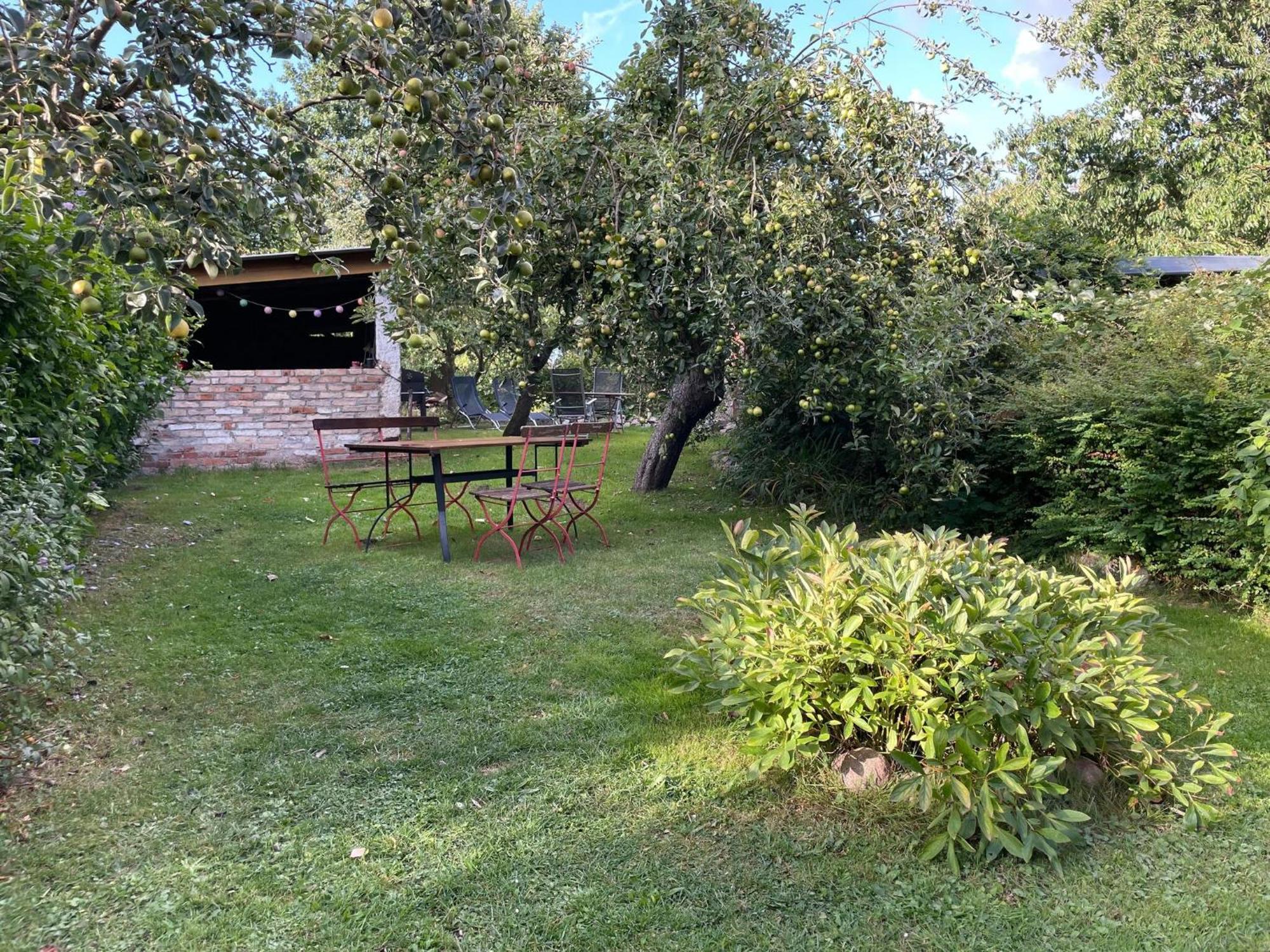 Renovated Apartment In The Old Farmhouse Krusenhagen المظهر الخارجي الصورة